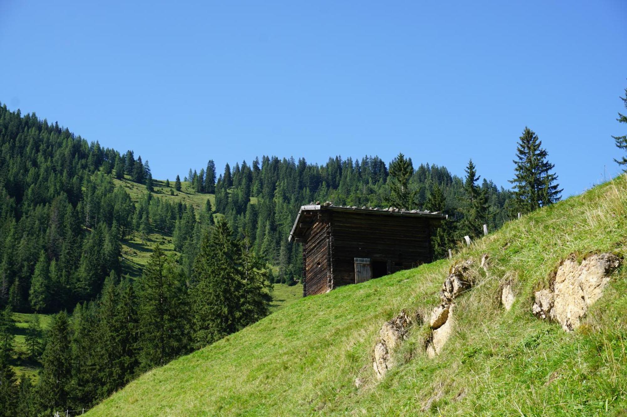 Studio Schwarzenauer Apartment Alpbach Luaran gambar