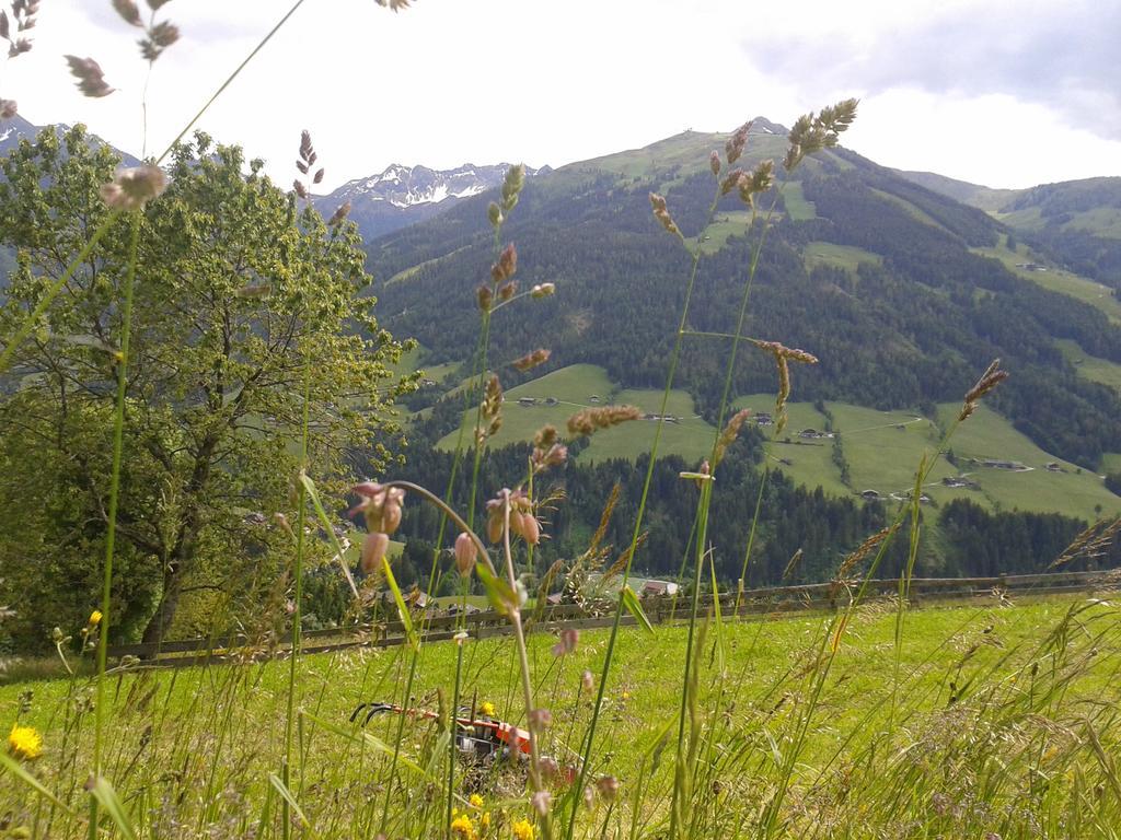 Studio Schwarzenauer Apartment Alpbach Luaran gambar