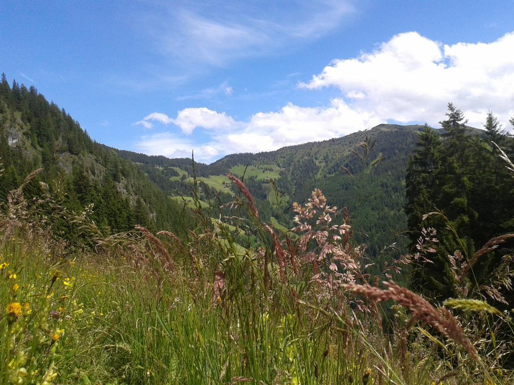 Studio Schwarzenauer Apartment Alpbach Luaran gambar