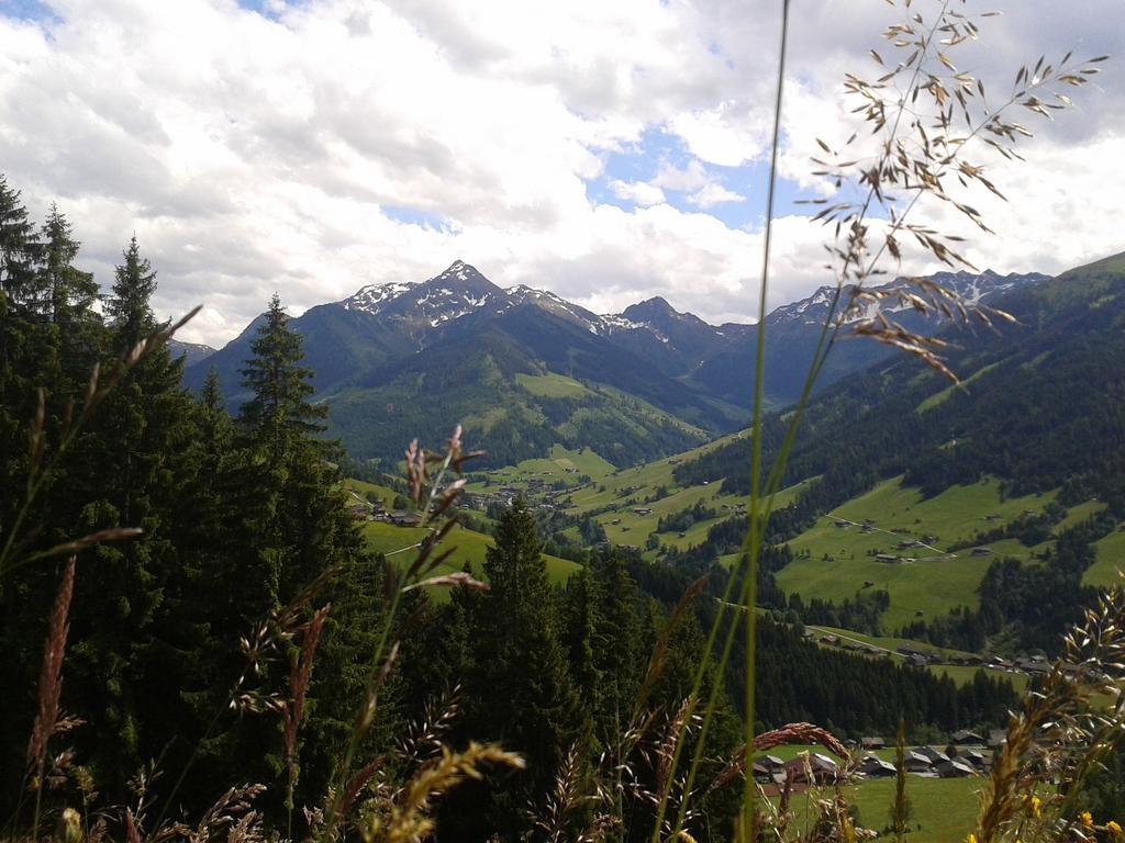 Studio Schwarzenauer Apartment Alpbach Luaran gambar